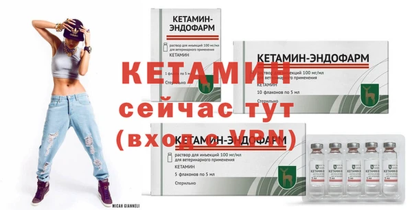 прущие грибы Богородск