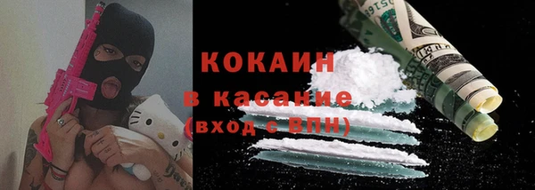 прущие грибы Богородск