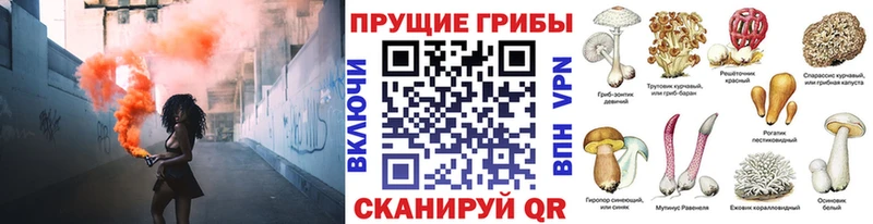 хочу   сайты даркнета формула  Галлюциногенные грибы Psilocybe  Беслан 